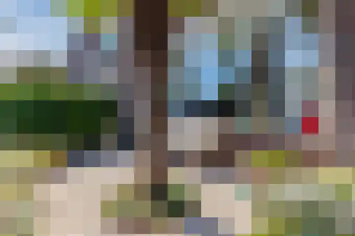 Parallelstraat 22 Rhoon thumbnail 38