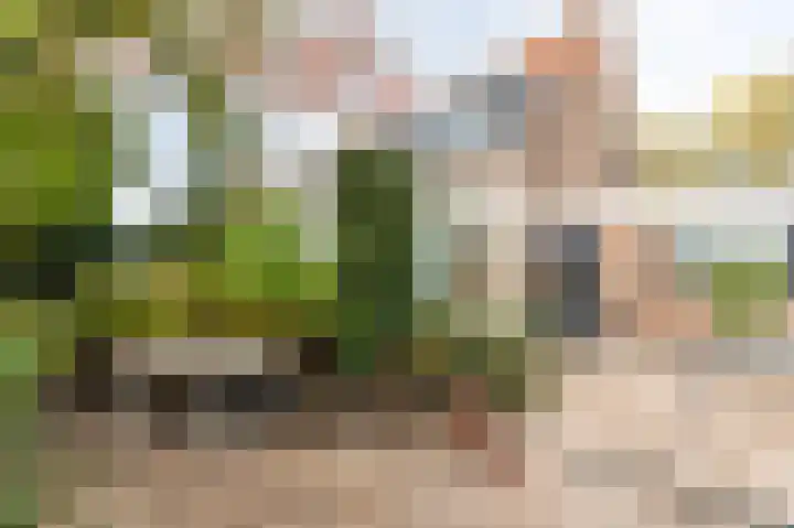 Parallelstraat 22 Rhoon thumbnail 38