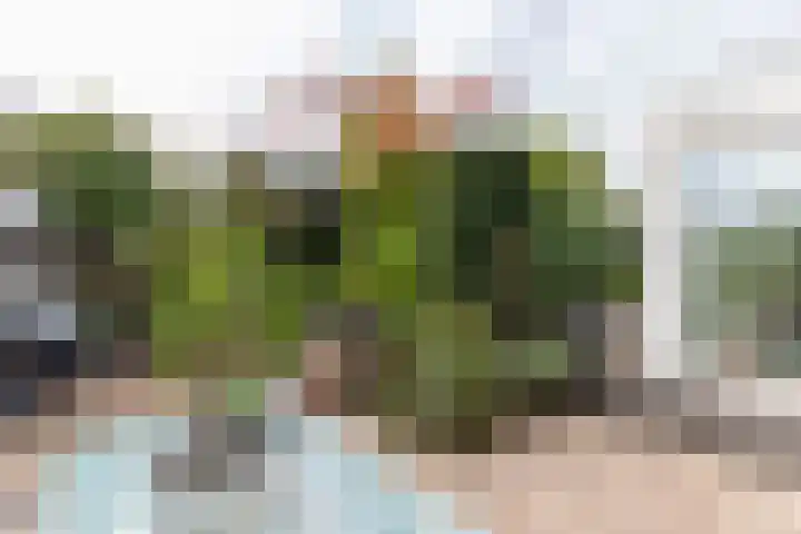 Parallelstraat 22 Rhoon thumbnail 4