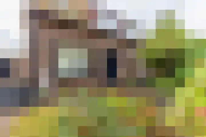 Parallelstraat 22 Rhoon thumbnail 43