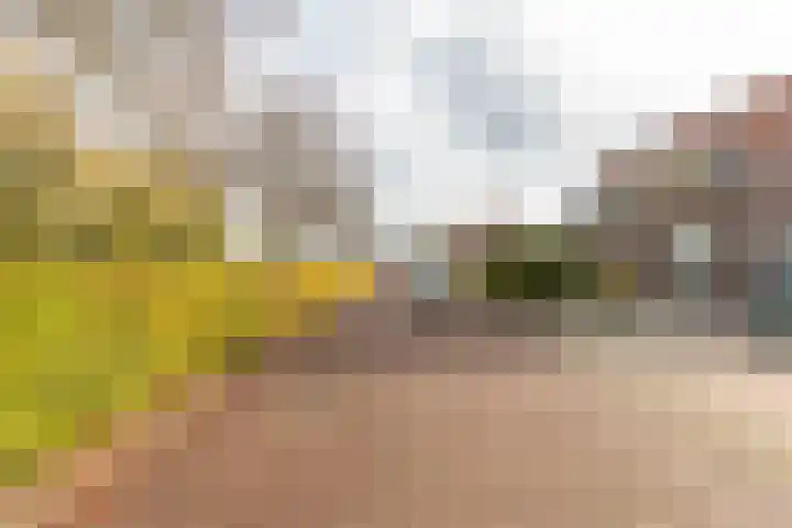 Parallelstraat 22 Rhoon thumbnail 44