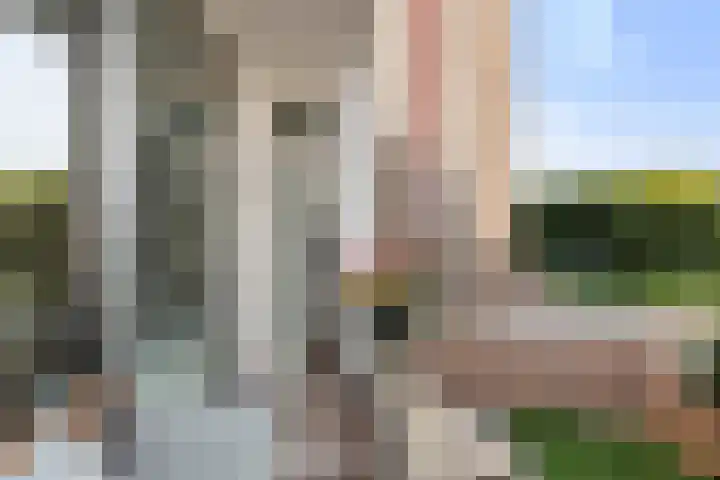 Parallelstraat 46 B Rotterdam thumbnail 31