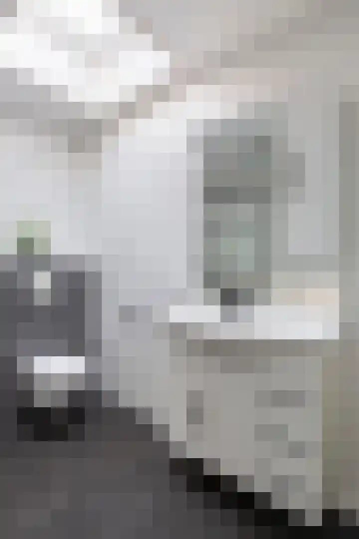 Parallelstraat 46 B Rotterdam thumbnail 39