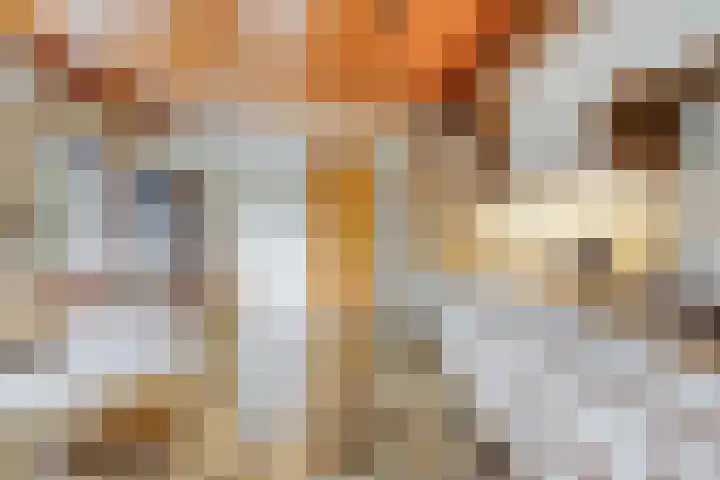 Parallelweg 1 Halsteren thumbnail 11