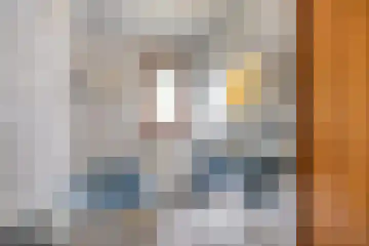 Parallelweg 1 Halsteren thumbnail 14
