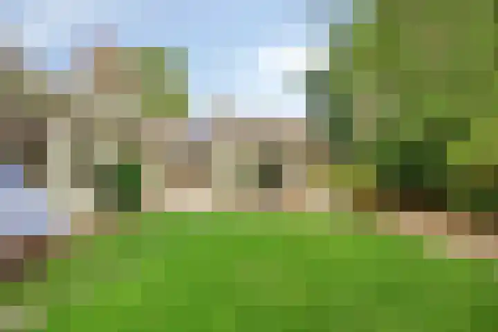 Parallelweg 1 Halsteren thumbnail 19