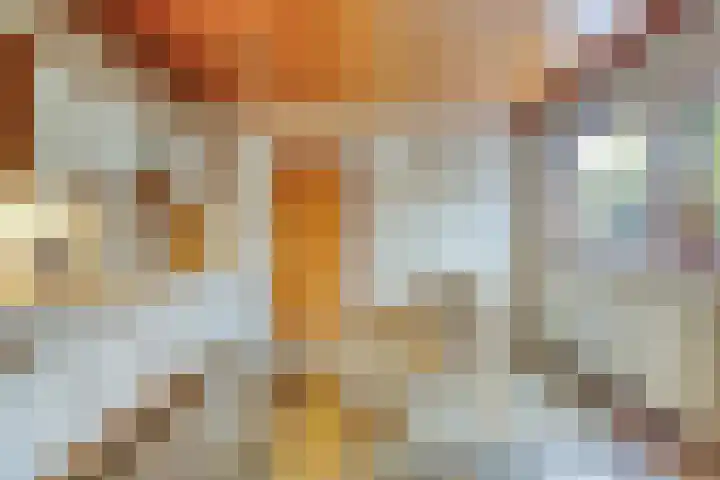 Parallelweg 1 Halsteren thumbnail 6