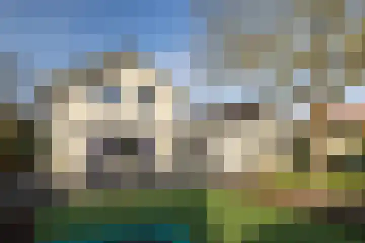 Parallelweg 109 Nunspeet thumbnail 10