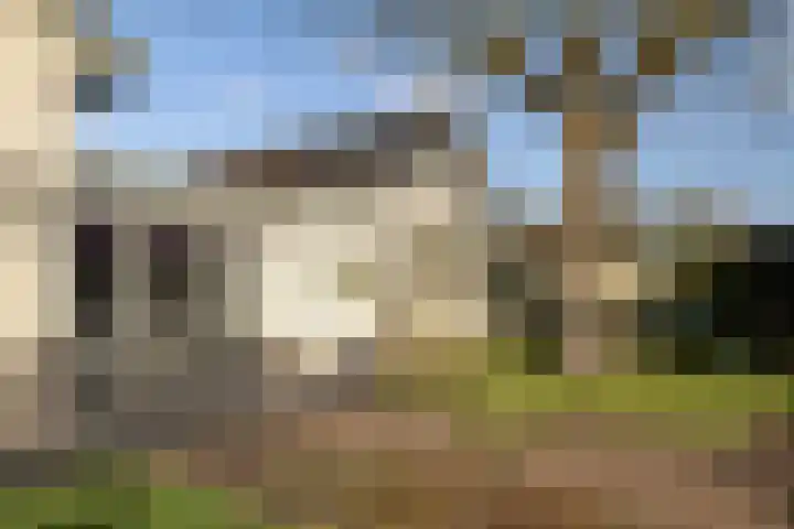 Parallelweg 109 Nunspeet thumbnail 13
