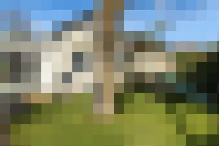 Parallelweg 109 Nunspeet thumbnail 14