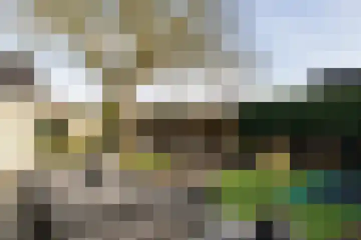Parallelweg 109 Nunspeet thumbnail 16