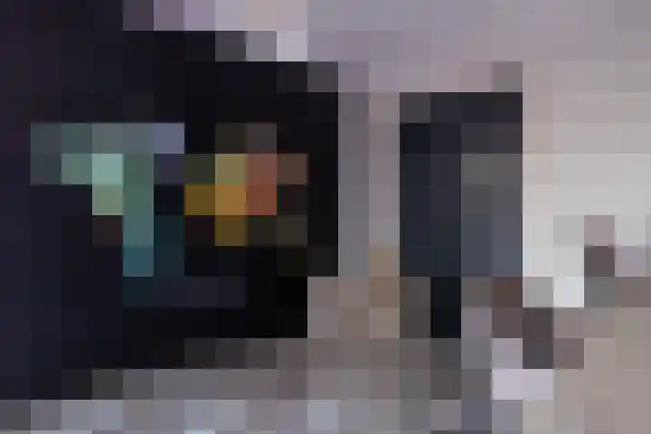 Parallelweg 109 Nunspeet thumbnail 33