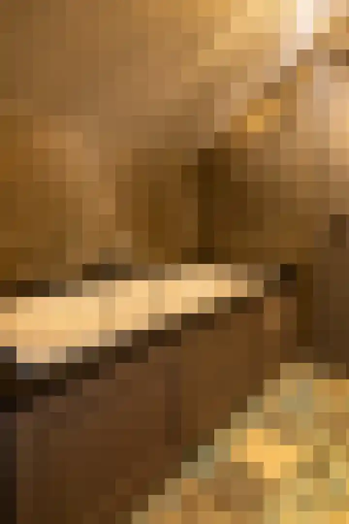 Parallelweg 109 Nunspeet thumbnail 44