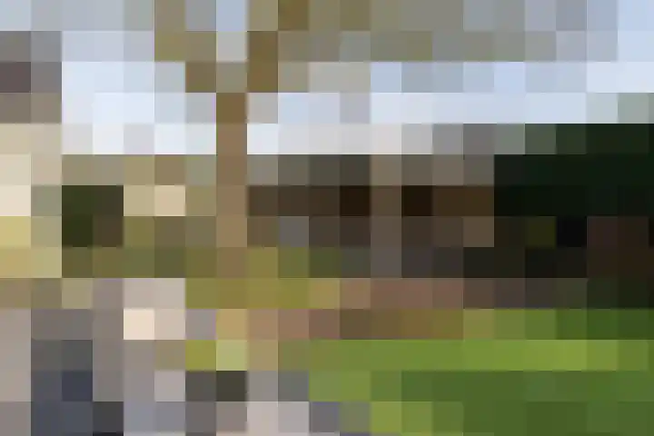 Parallelweg 109 Nunspeet thumbnail 50