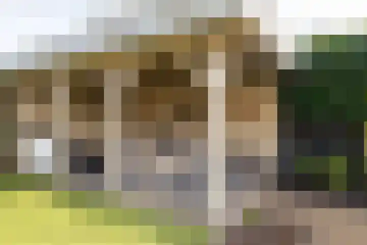 Parallelweg 109 Nunspeet thumbnail 51
