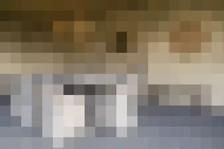 Parallelweg 109 Nunspeet thumbnail 52