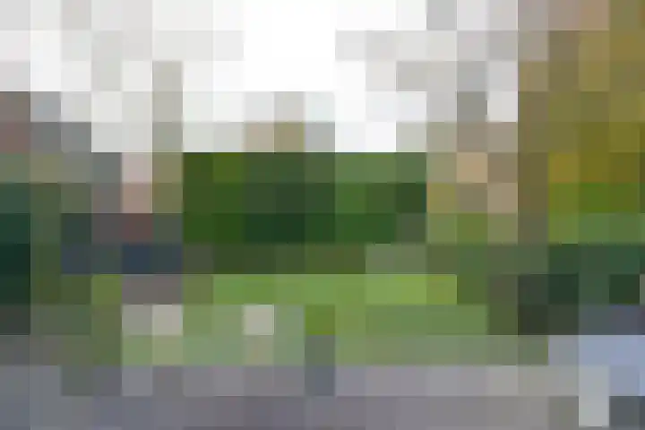 Parallelweg 11 Bussum thumbnail 24