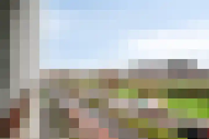 Parallelweg 112 C Vlaardingen thumbnail 11