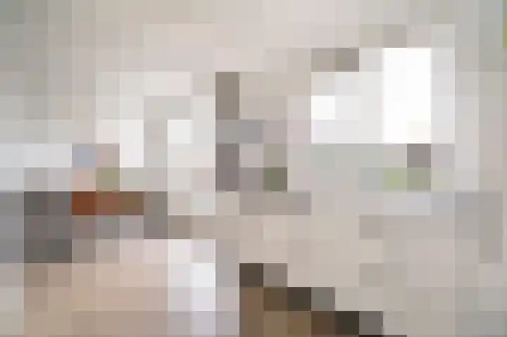 Parallelweg 12 Herwijnen thumbnail 11