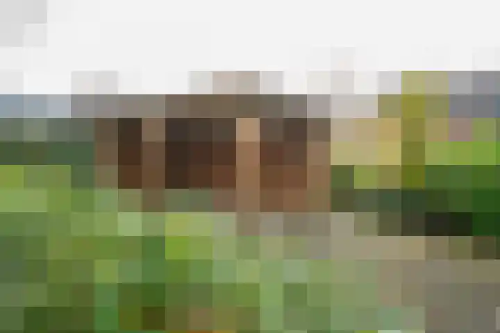 Parallelweg 12 Herwijnen thumbnail 32