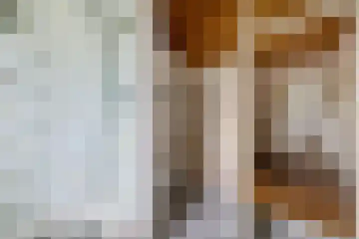 Parallelweg 12 Sneek thumbnail 26