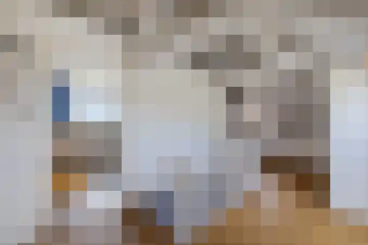 Parallelweg 12 Sneek thumbnail 30