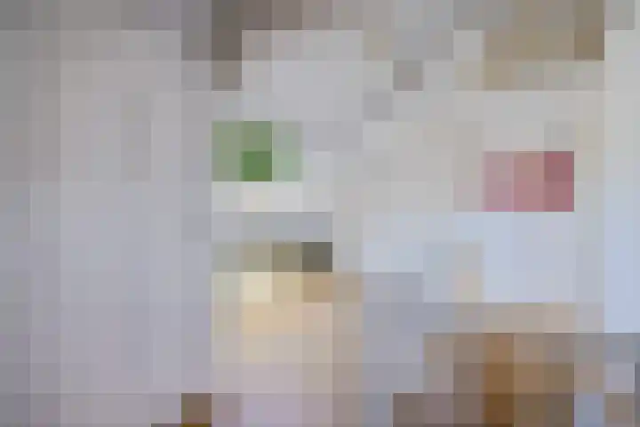 Parallelweg 12 Sneek thumbnail 31