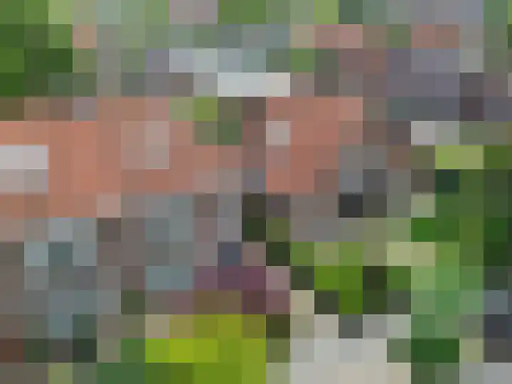 Parallelweg 12 Sneek thumbnail 41