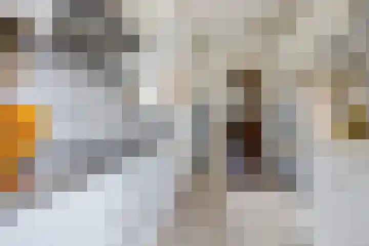 Parallelweg 12 Sneek thumbnail 8