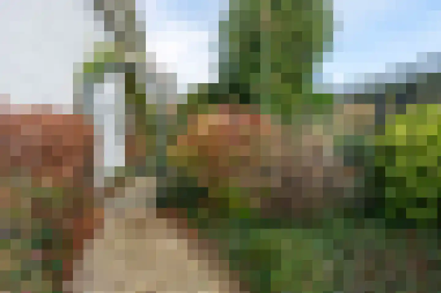 Parallelweg 12 Spaubeek thumbnail 46