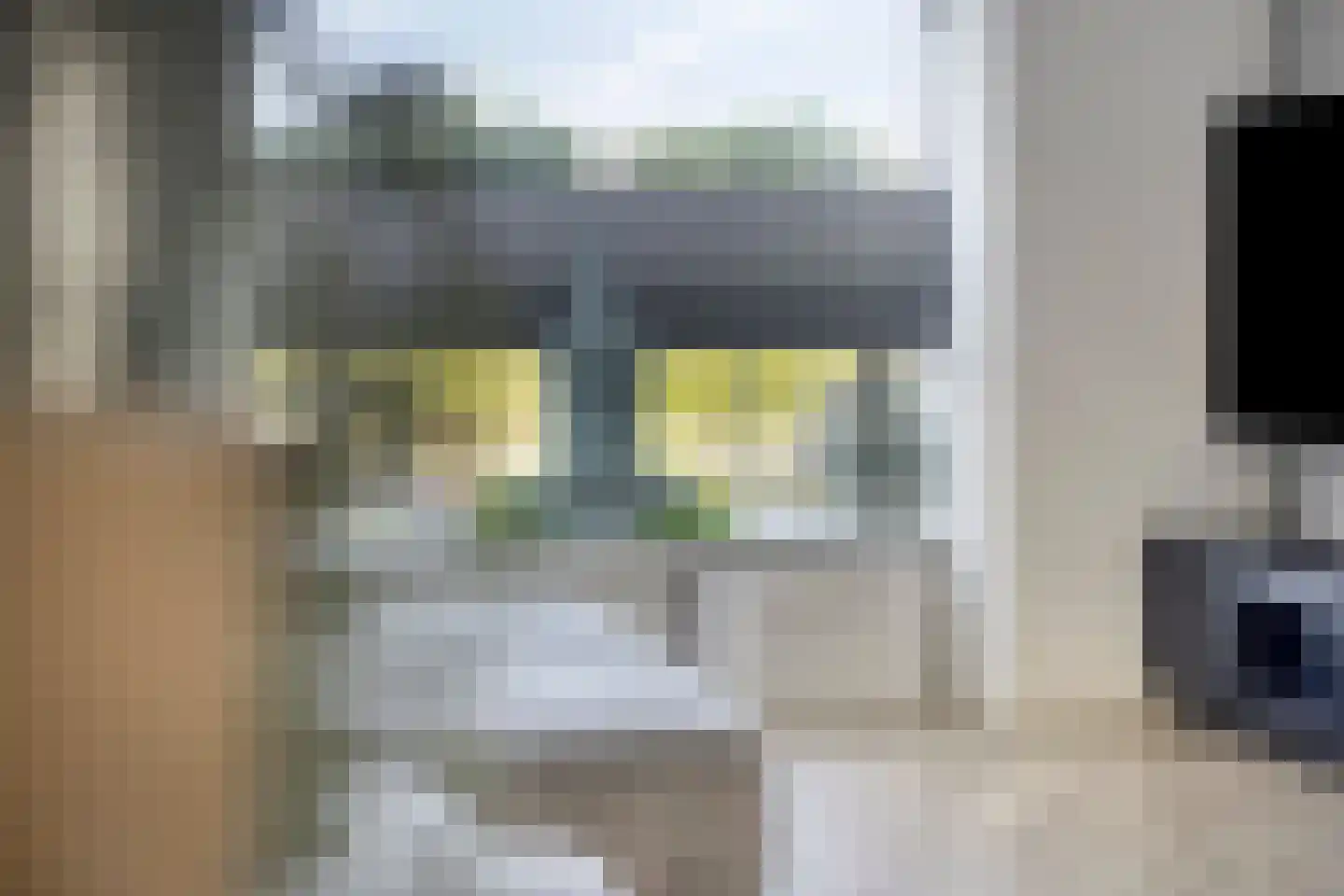 Parallelweg 13 Goes thumbnail 11