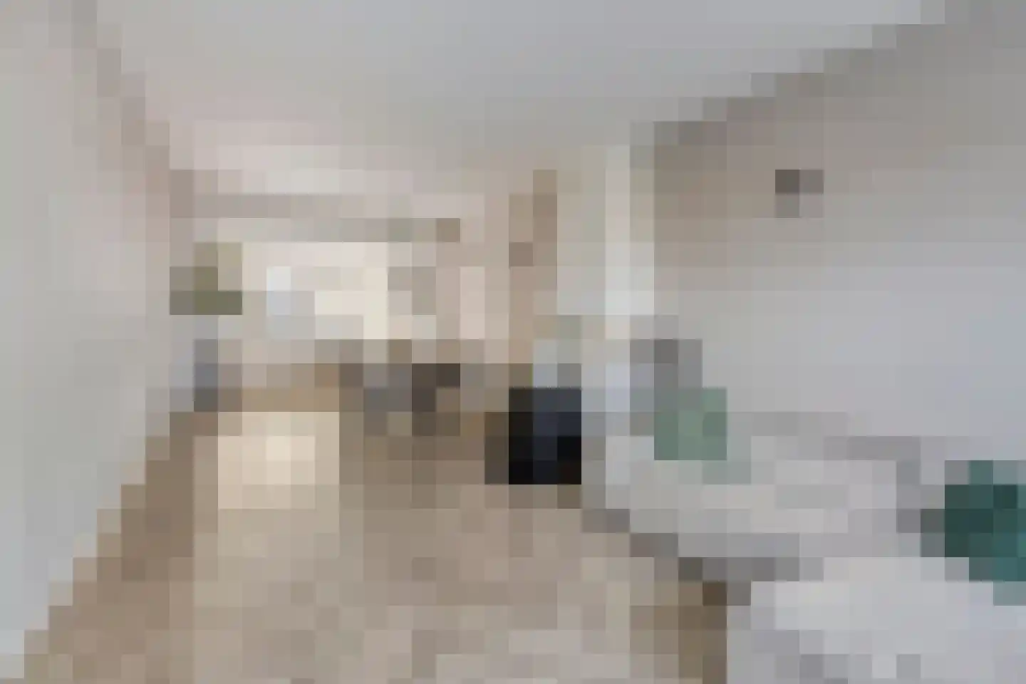 Parallelweg 13 Goes thumbnail 13