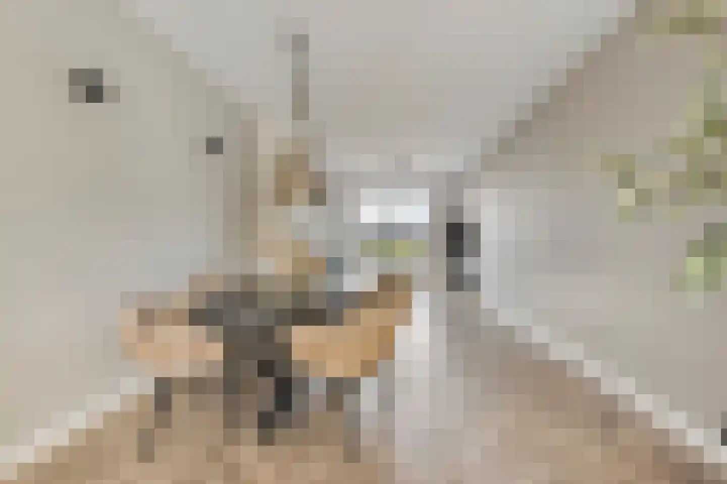 Parallelweg 13 Goes thumbnail 17
