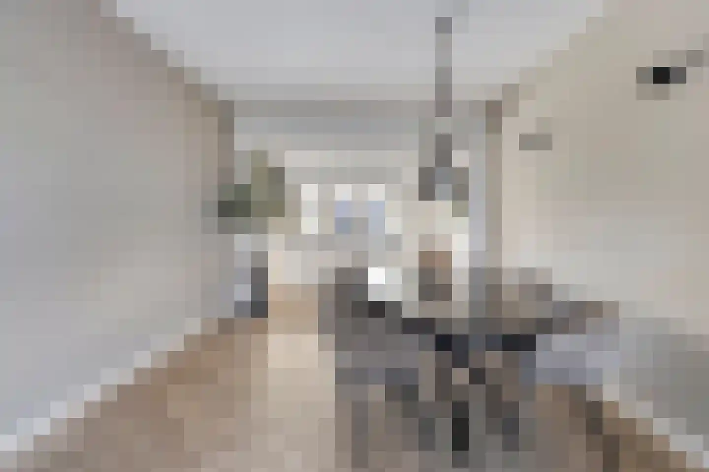 Parallelweg 13 Goes thumbnail 19