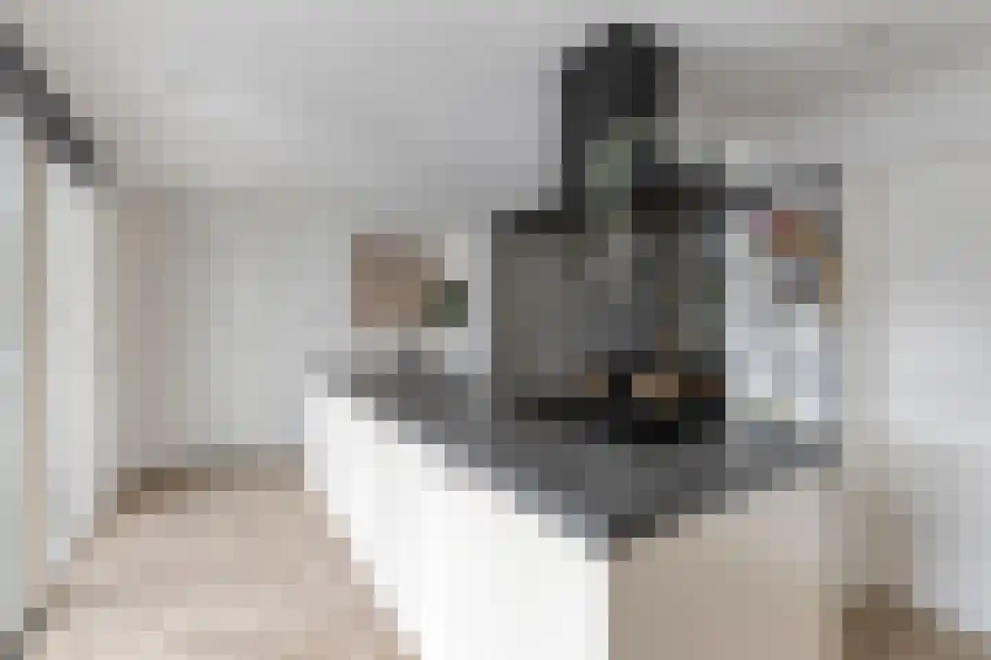 Parallelweg 13 Goes thumbnail 23
