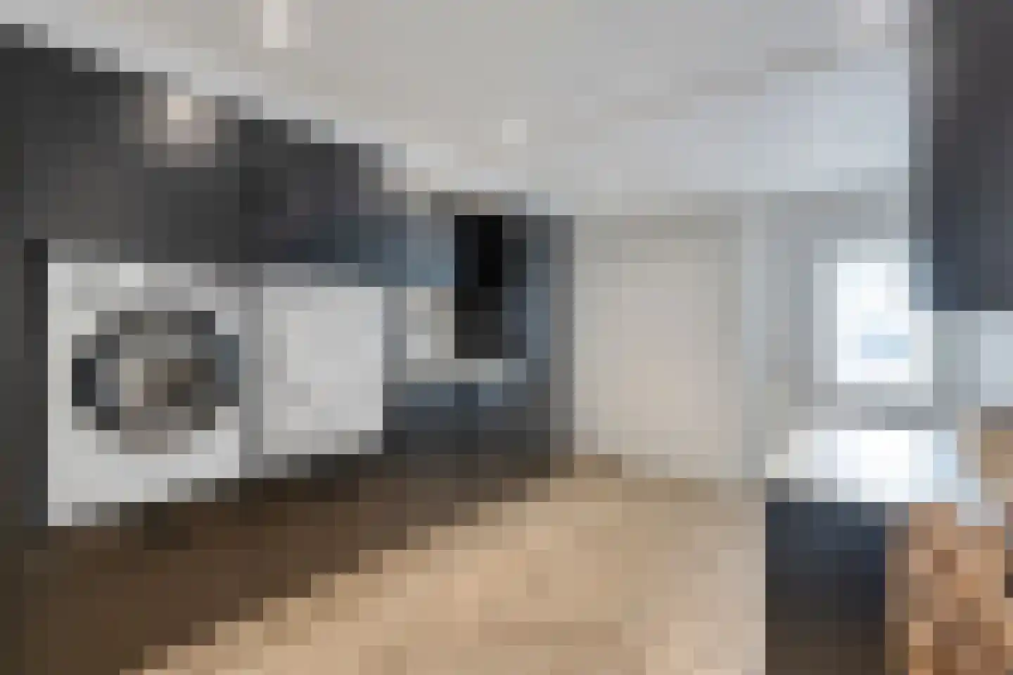 Parallelweg 13 Goes thumbnail 27