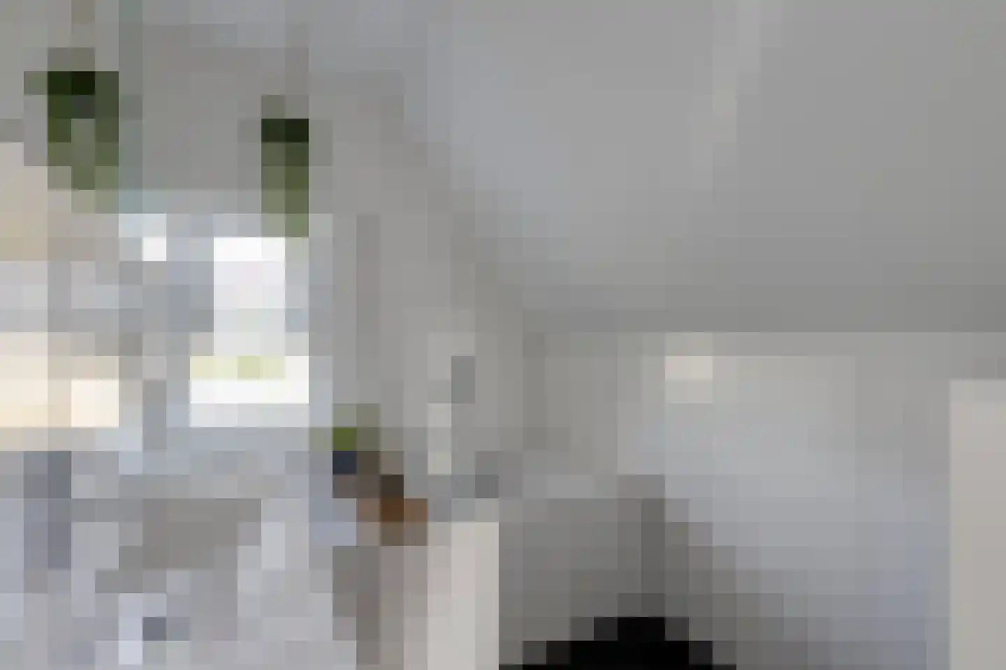 Parallelweg 13 Goes thumbnail 4