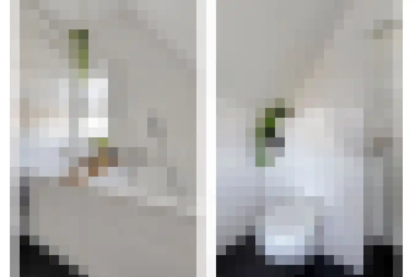Parallelweg 13 Goes thumbnail 45