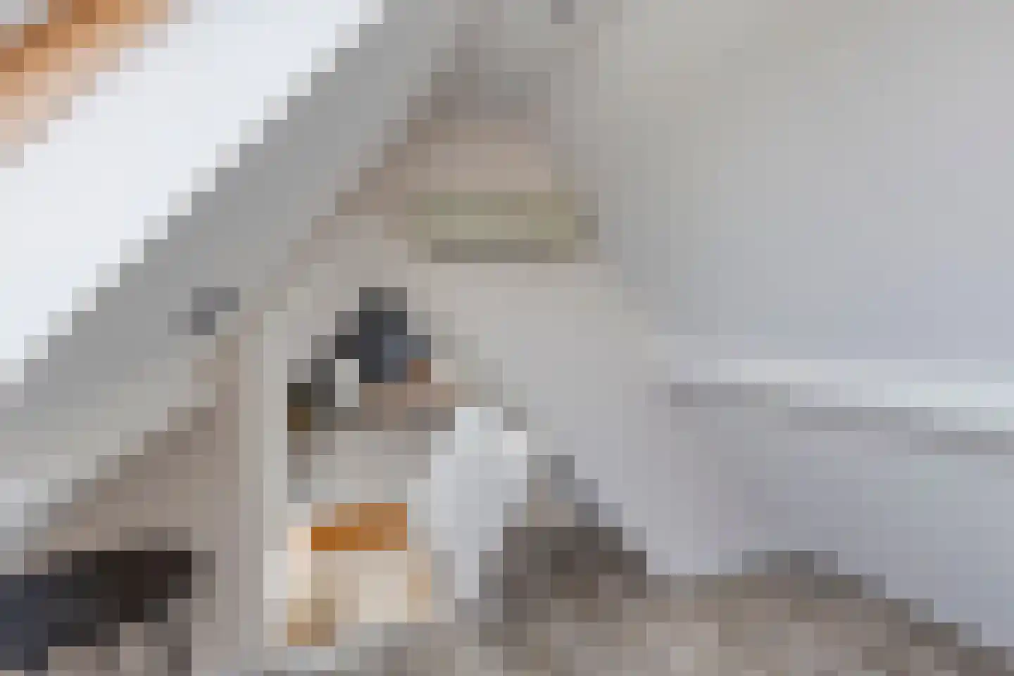 Parallelweg 13 Goes thumbnail 46