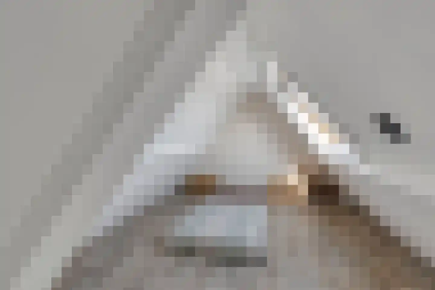 Parallelweg 13 Goes thumbnail 47
