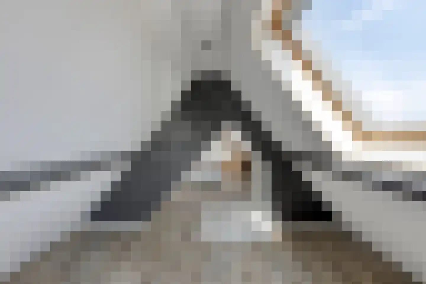 Parallelweg 13 Goes thumbnail 48