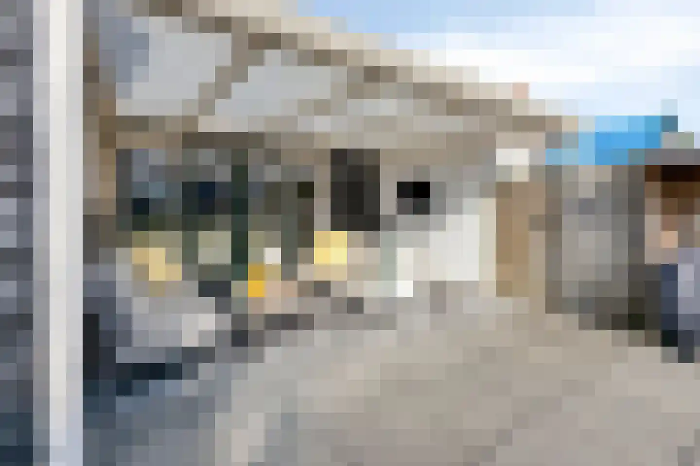 Parallelweg 13 Goes thumbnail 52