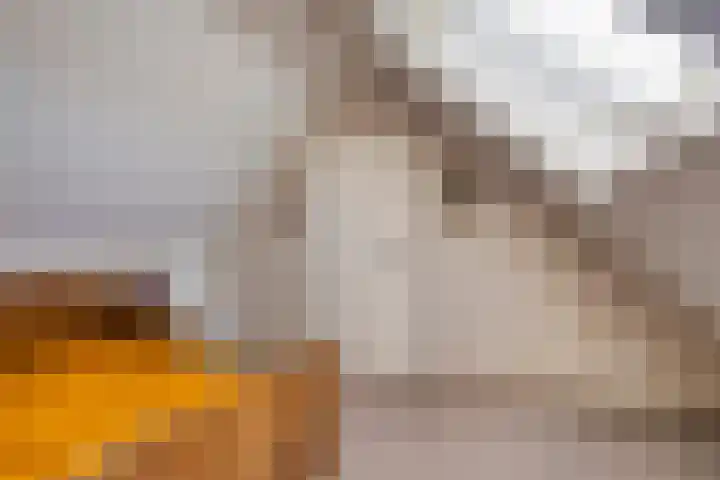 Parallelweg 13 Lewedorp thumbnail 24