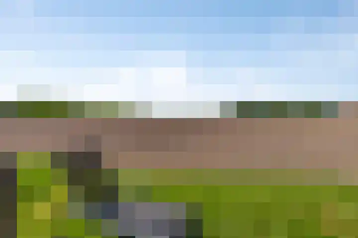 Parallelweg 13 Lewedorp thumbnail 30