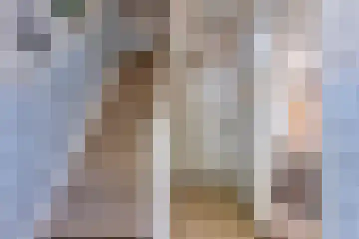 Parallelweg 13 Lewedorp thumbnail 4