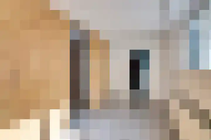 Parallelweg 14 Goes thumbnail 13