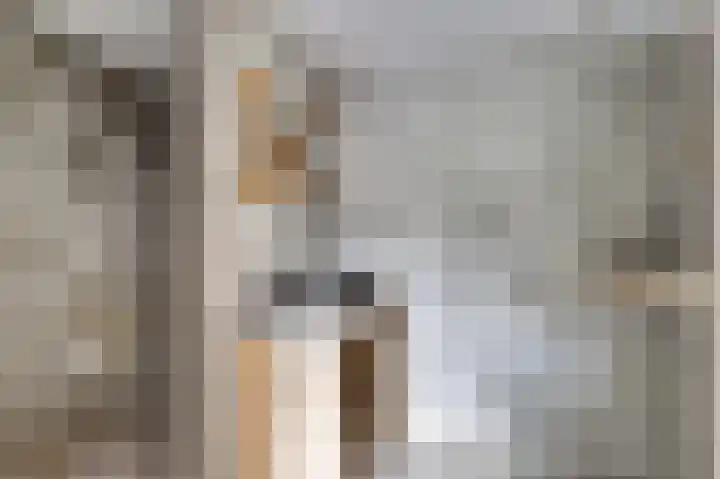 Parallelweg 14 Goes thumbnail 14