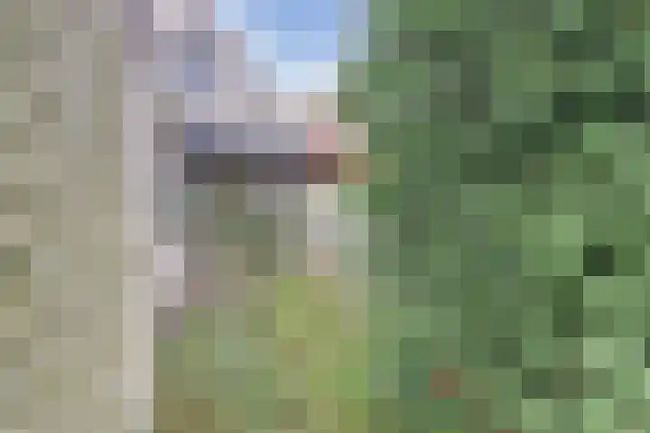 Parallelweg 14 Goes thumbnail 22