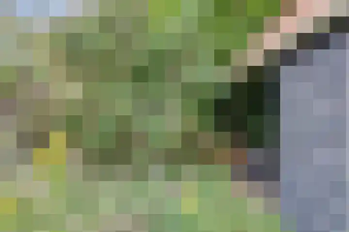 Parallelweg 14 Goes thumbnail 24