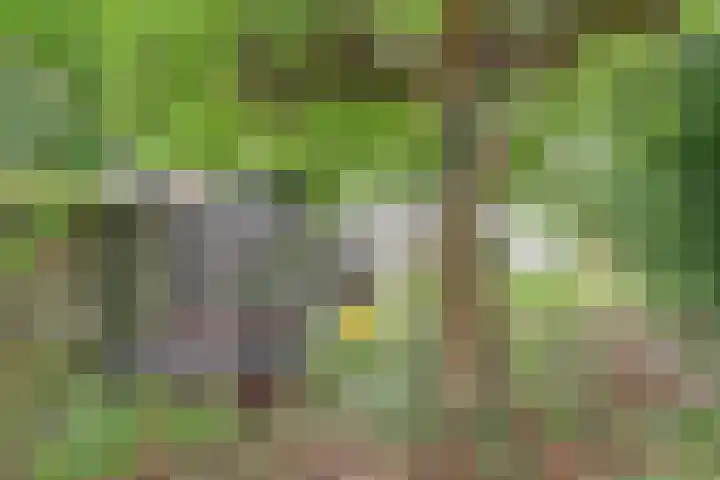 Parallelweg 14 Goes thumbnail 25